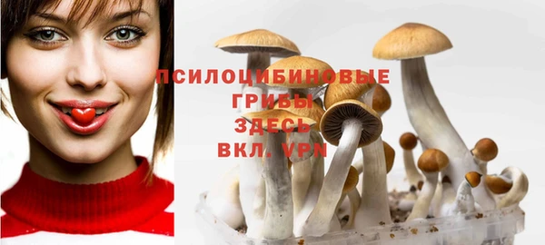 дживик Куйбышев
