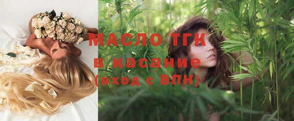 сатива Коряжма